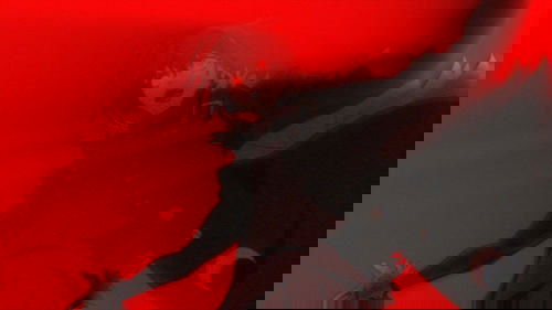 Background image for The Snake Has Wings