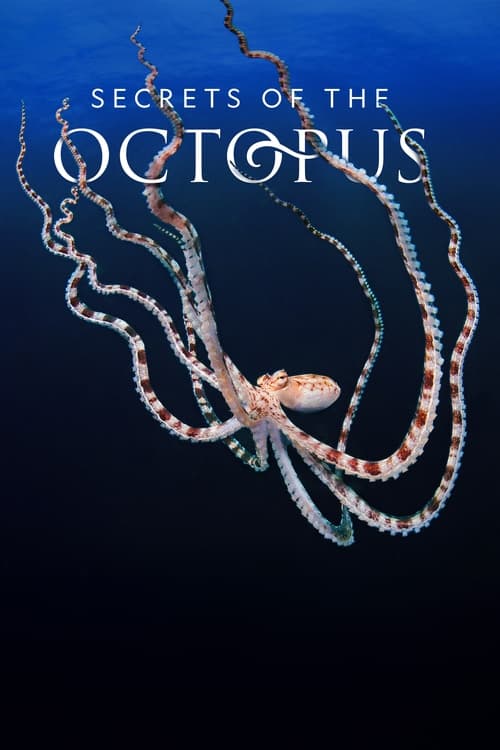 Show cover for Secrets of the Octopus