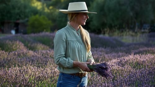 Lavender Harvest