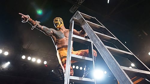 The Top of the Ladder