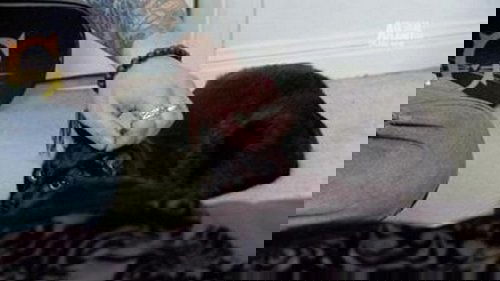 Background image for Multi-Million-Dollar Nightmare