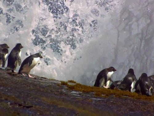 Science of Great Migrations