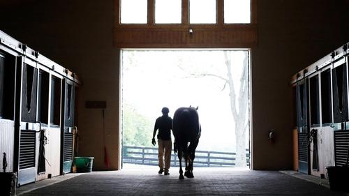 Background image for Broken Horses