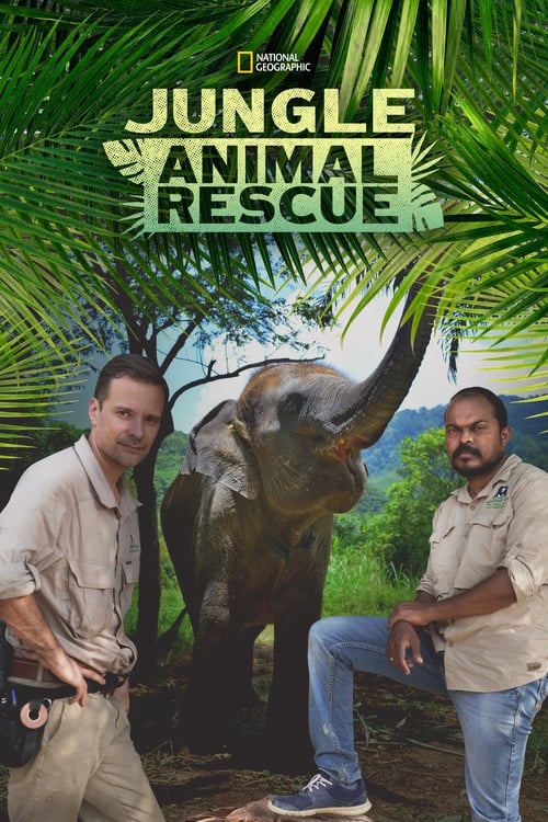 Show cover for Jungle Animal Rescue