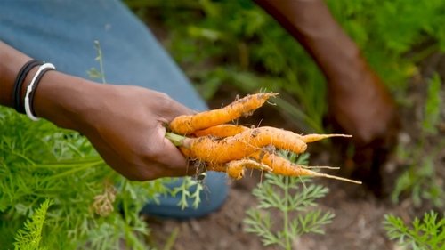 Background image for Scales Family Farm | Deer District Market