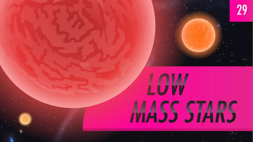 Low Mass Stars