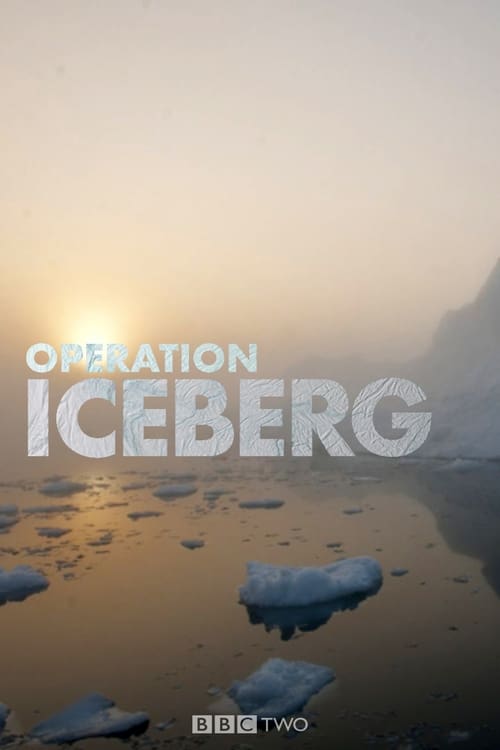 Show cover for Operation Iceberg