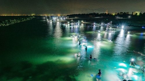 Background image for The Treasures of Toyama Bay