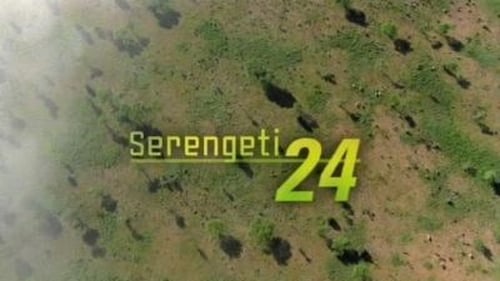 Serengeti 24