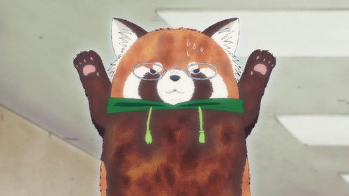 Brothers and Sisters