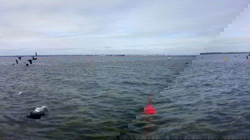 Background image for Toxic Wrecks