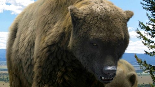 Background image for Land of the Cave Bear