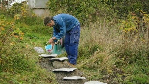 ”It started with a staircase to the water, then she went COMPLETELY mad!”