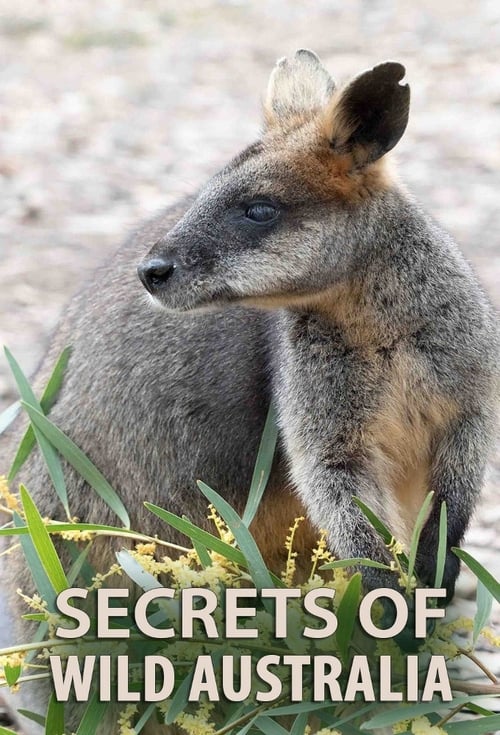 Show cover for Secrets of Wild Australia