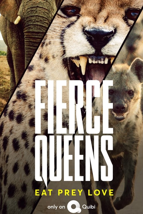 Show cover for Fierce Queens