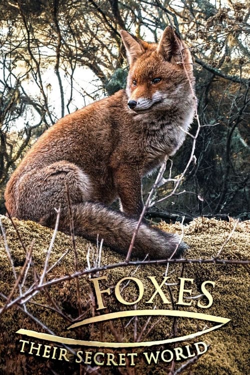 Show cover for Foxes: Their Secret World