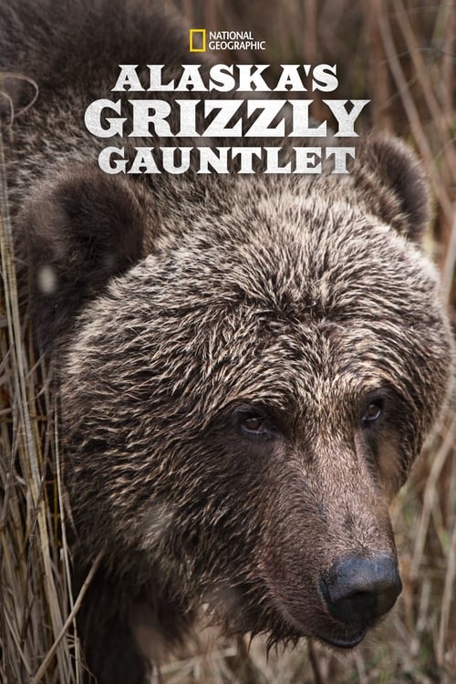 Show cover for Alaska's Grizzly Gauntlet