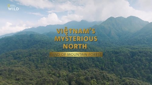 Background image for Mysterious North: Land of Mountain Forests