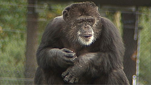 Background image for Episode 14