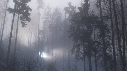 Background image for The Rendlesham Forest Incident
