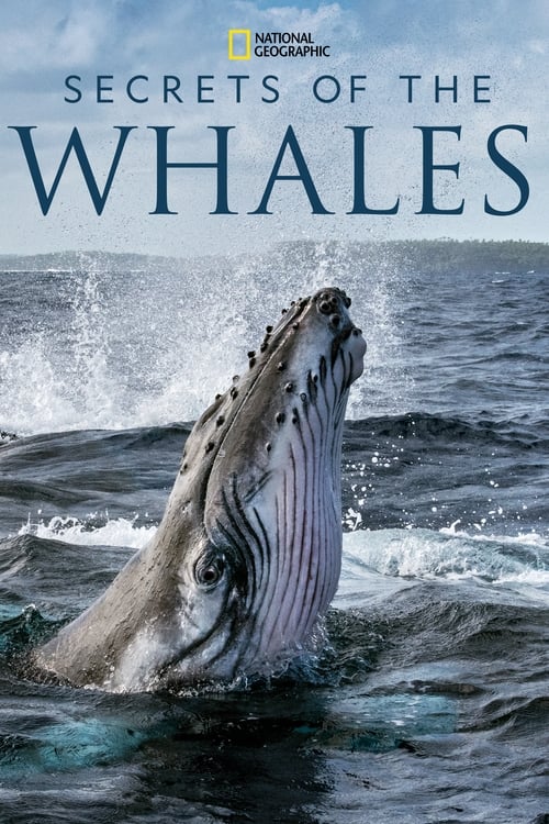 Show cover for Secrets of the Whales