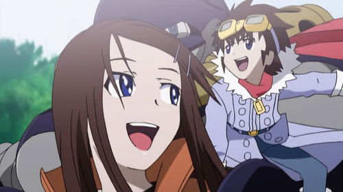 Bundles of Bill in the Setting Sun