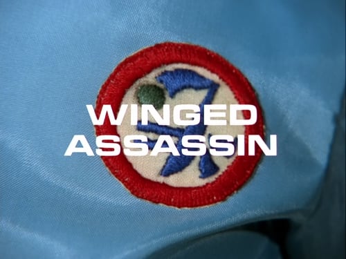 Winged Assassin