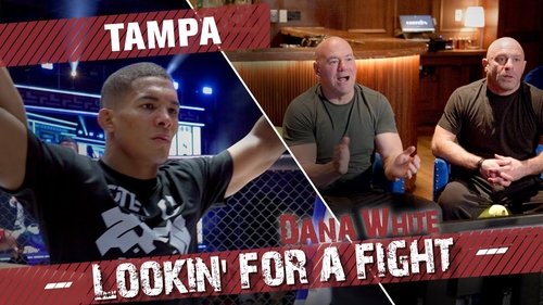 Background image for Tampa