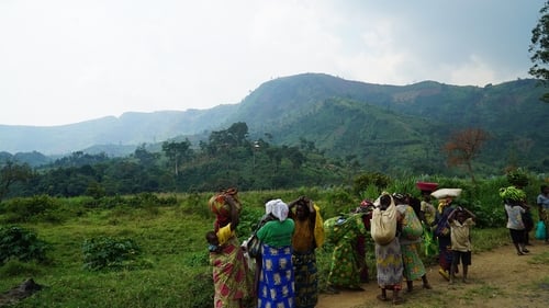 Cannabis in Congo