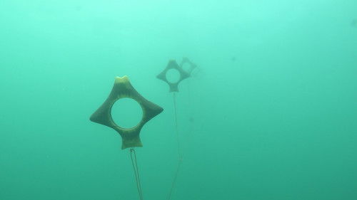 Background image for Episode 20