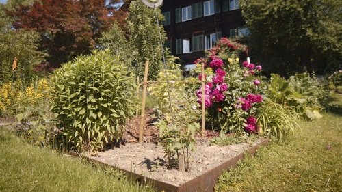 Background image for The chalet garden