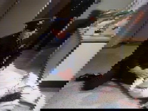 Background image for Tom Dayton Is Loose Among Us