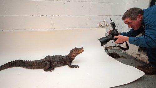 Background image for Wildlife Photographer: Joel Sartore