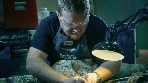 Background image for Dinosaur Cold Case