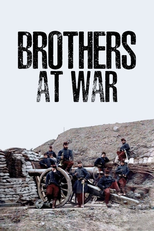 Show cover for Brothers at War