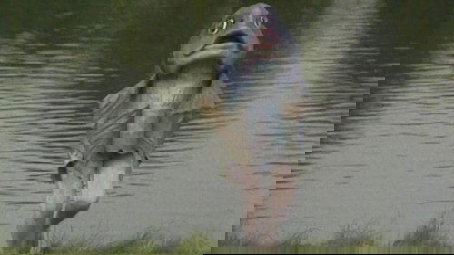 Background image for Better Than Life