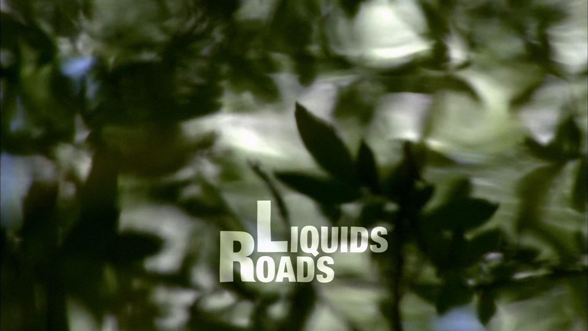 Liquid Roads