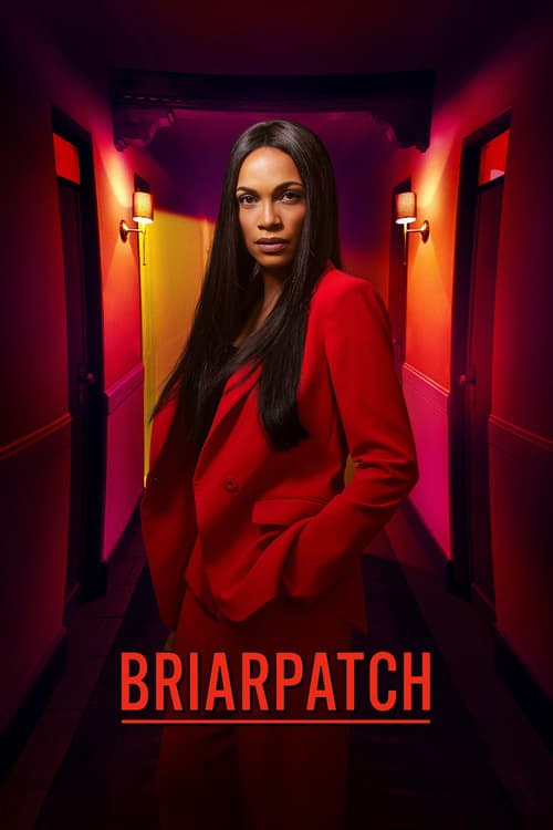 Show cover for Briarpatch