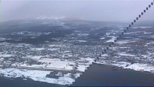 Background image for The Forest of Tomakomai
