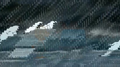 It's Raining, It's Pouring