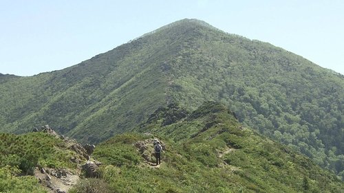 Background image for Early Summer on Mt. Apoidake