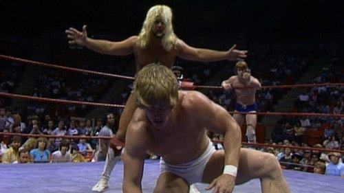 Background image for WCCW - April 28, 1984