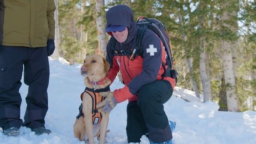 Background image for Avalanche Rescue Dogs & The Beagle Brigade