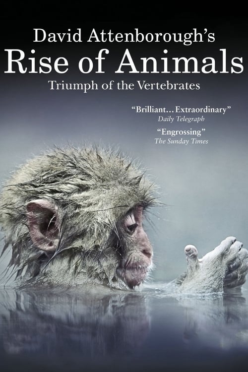 Show cover for David Attenborough's Rise of Animals: Triumph of the Vertebrates