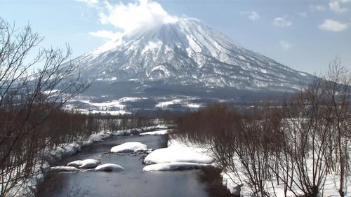Background image for Winter in Mt. Yotei, Niseko