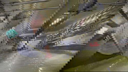 Background image for Hook's Cheese