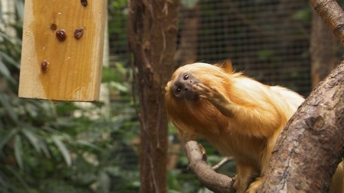 Background image for Episode 8