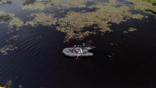 The Eye of the Swamp