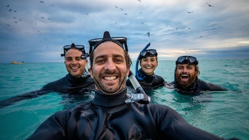Background image for Search for Koombana