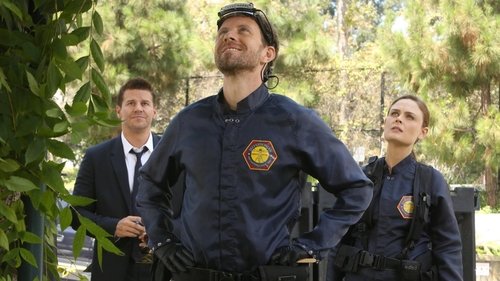 Background image for The Cheat in the Retreat